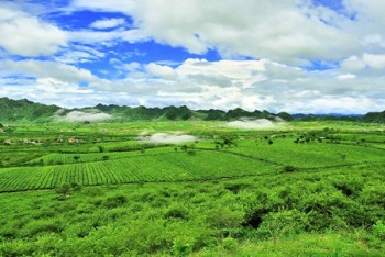 Cao nguyên Mộc Châu
