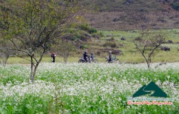 Tình Yêu Mộc Châu Karaoke