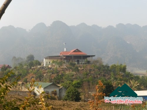 Homestay tại trang trại Hoa cảnh cao nguyên