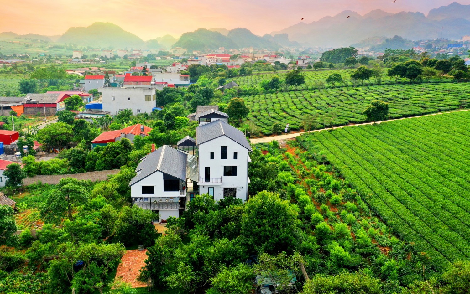 Mộc Châu Cottage Homestay