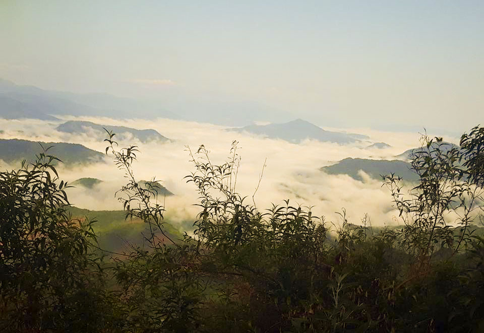săn mây ở sốp bâu