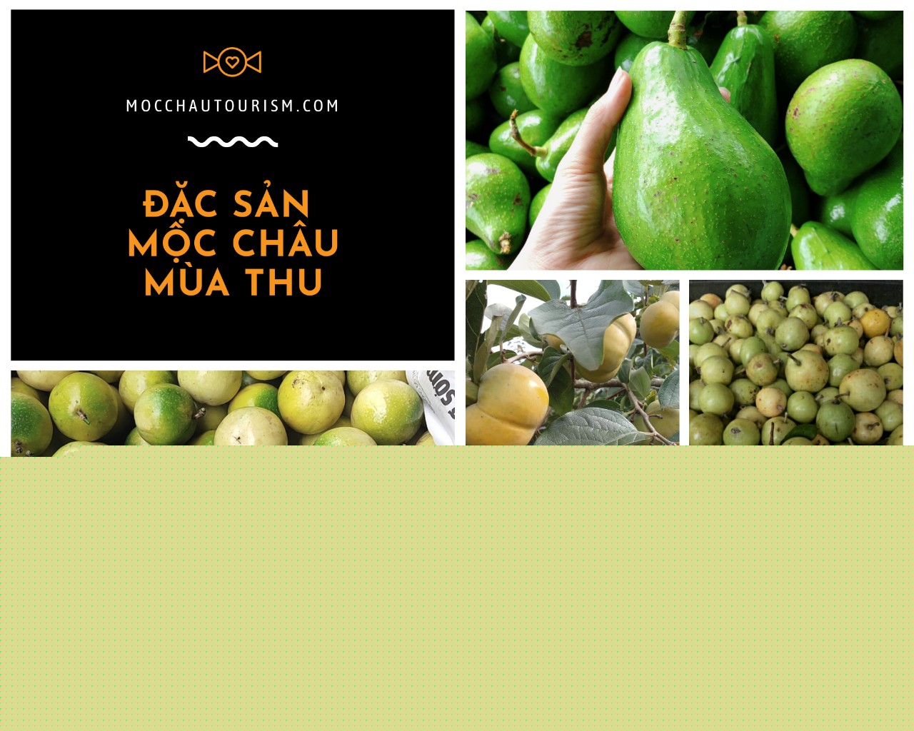Hoa quả đặc sản Mộc Châu mùa thu đang rất hot