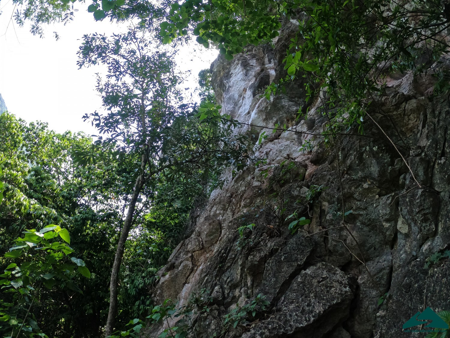 hang ma suối bàng