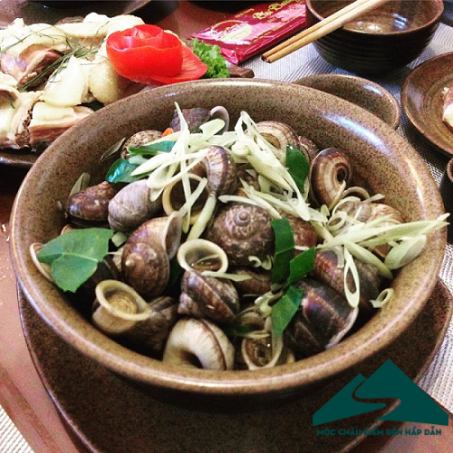 ốc đá suối bàng