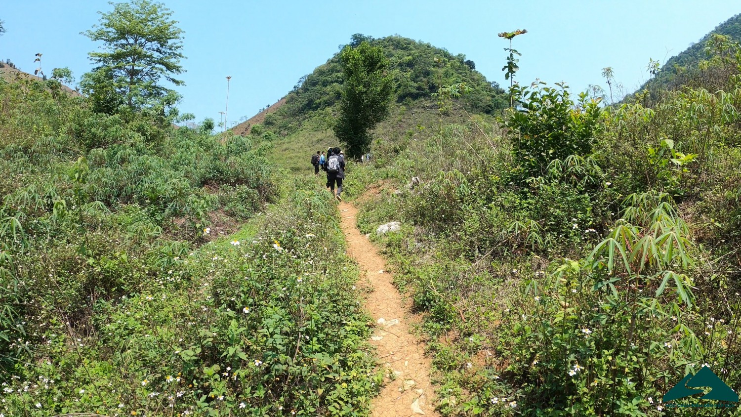 hang ma suối bàng